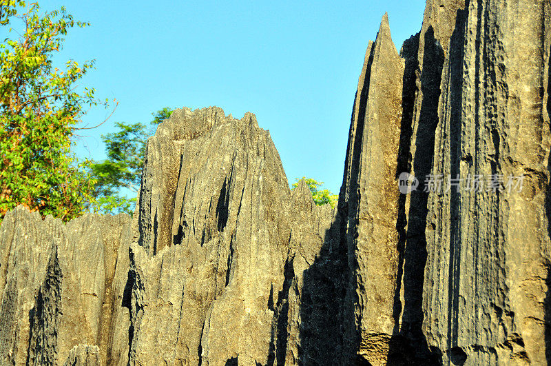 马达加斯加的Tsingy de Bemaraha